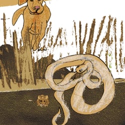Kinderbuch Maus und Piep Sabrina Romstätter-Autor und Illustrator