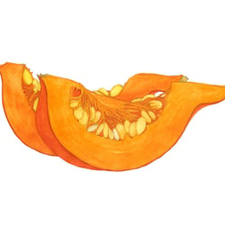 Hokkaidokürbis