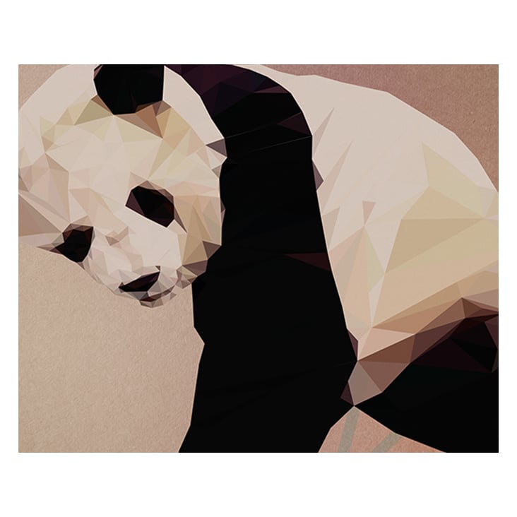 panda polygon