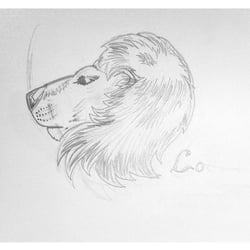 leo-sketch