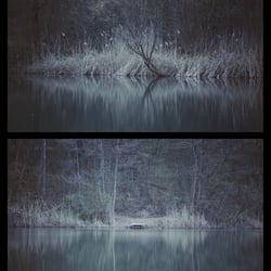 Frühling 2018