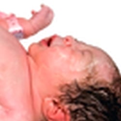 Plakatmotive, die bewegen. Berlin und Bornheim.