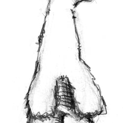 Eisbär