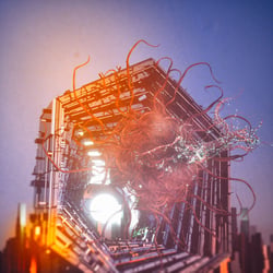 Tentacle City