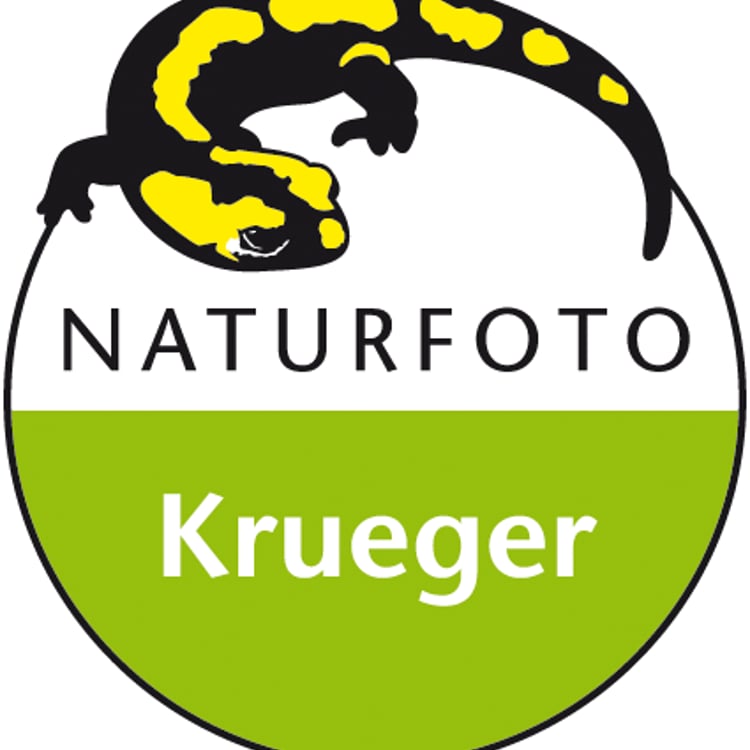 Uwe Krüger