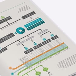 Infografik zu den Strompreisen, WWF