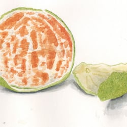Clementine