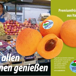 Plakat2