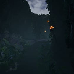 Amazonas_Forest_Shot_6