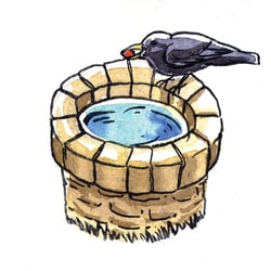 Brunnen-rein