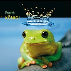 Citycard, „sei kein Frosch, sei ein König“