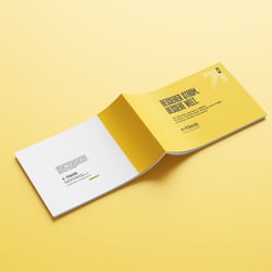 EFR 1 copy