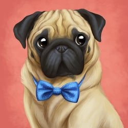 Mops