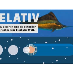 Beispielscreen