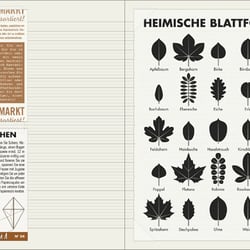„Lily Lux Notizbuch“ (Ausschnitt)