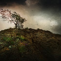 Storm