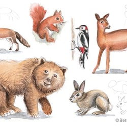 Workshop Drawing Animals