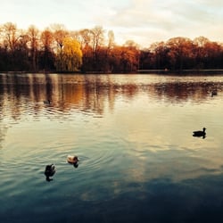 Englischer Garten (Munich)