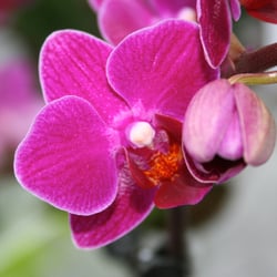 Bild 114