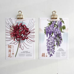 Botanische Illustrationen