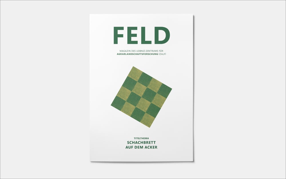 dasauge FELD11