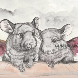 Raffaels Engel als Chinchillas