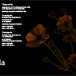 Produkt-Design CD