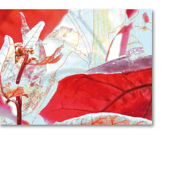 digitale Collage > ocean red