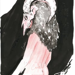 Aries