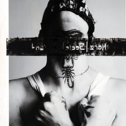 collage22