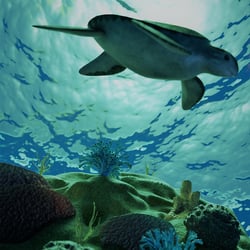 Under the Ocean