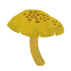 Organicator Illus