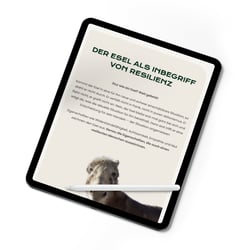 Marion Stahl – Natur-Businesscoaching & Resilienztraining