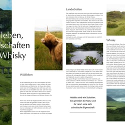 Magazin Layout
