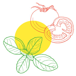 Basilikum & Tomaten