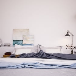 A bedroom, work space or a combination of both