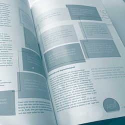 Ratgeber (Print) und Arbeitshandbuch (Online)