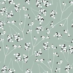 Bladder Campion