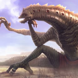 Desert lizard