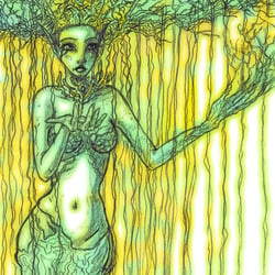 Illustrationen