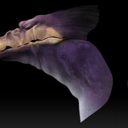 ZBrush Mesh Finetune