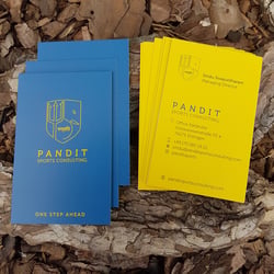 Pandit Consulting 04