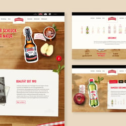 Corporate Website