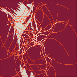 wahrnehmungsdisko action vectoring 01