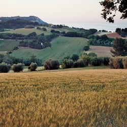 Abendstimmung