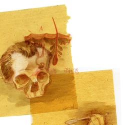 Vanitas und Haarausfall