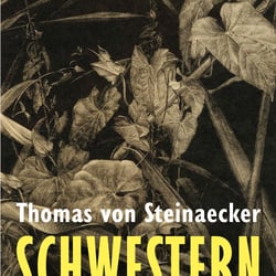 Buchcoverdesign, S.Fischer Verlag