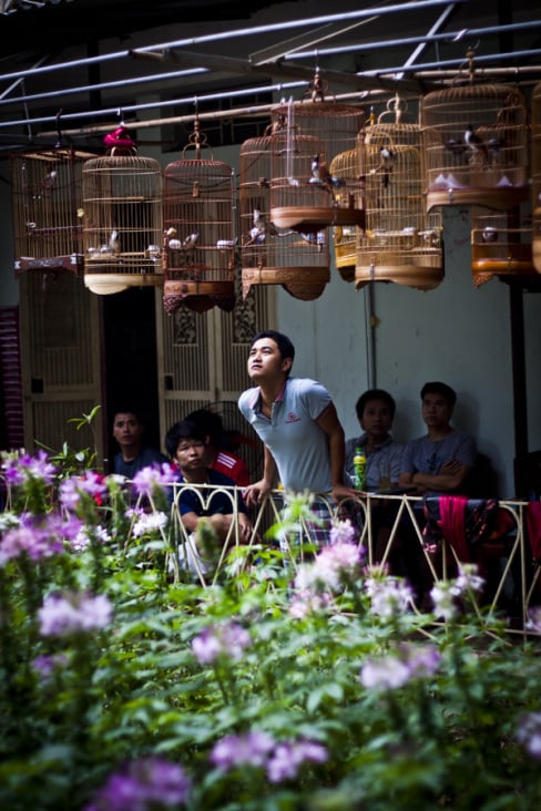 The Men Who Stare At Birds