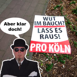 Europawahl 2014