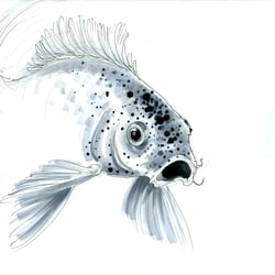 neelam-peristeris-carp-01